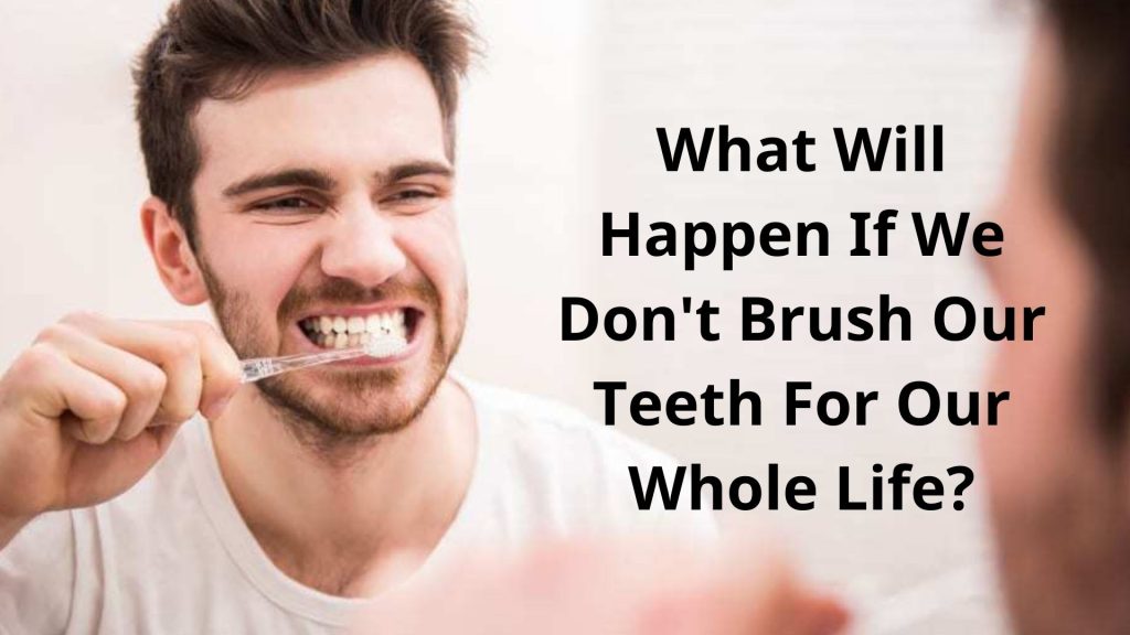 What Will Happen If We Don't Brush Our Teeth For Our Whole Life