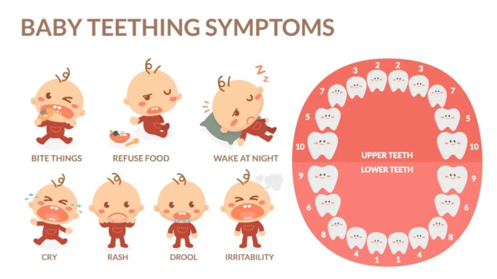 Baby Teething Symptoms
